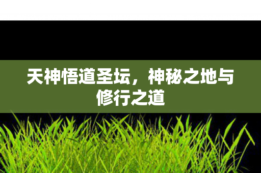 天神悟道圣坛,神秘之地与修行之道 天神悟道圣坛,神秘之地与修行之道