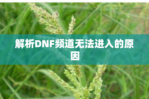 解析DNF频道无法进入的原因
