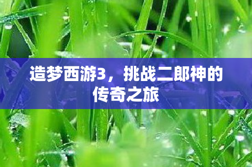 造梦西游3，挑战二郎神的传奇之旅