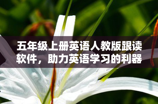 五年级上册英语人教版跟读软件，助力英语学习的利器