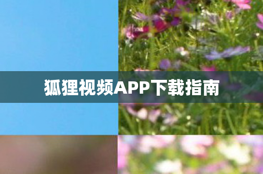 狐狸视频APP下载指南