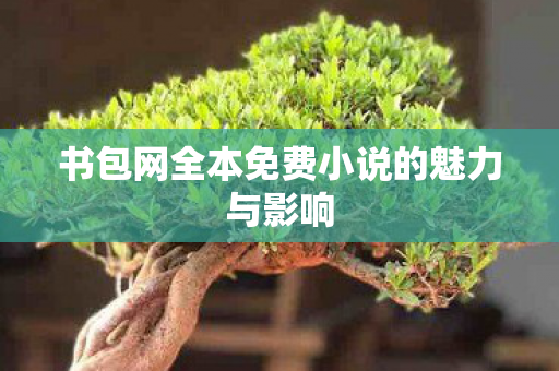 书包网全本免费小说的魅力与影响