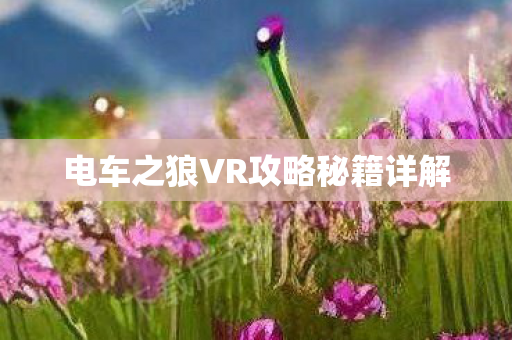 电车之狼VR攻略秘籍详解