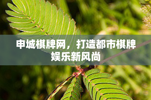 申城棋牌网，打造都市棋牌娱乐新风尚