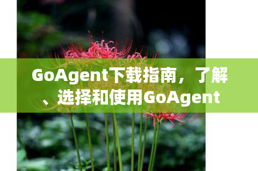 GoAgent下载指南，了解、选择和使用GoAgent