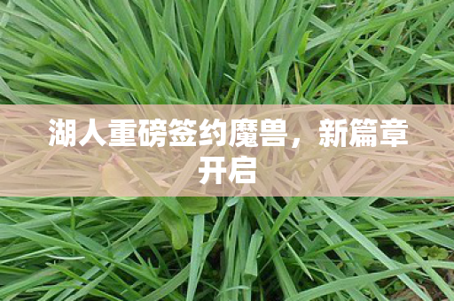 湖人重磅签约魔兽，新篇章开启