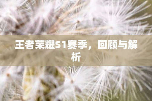 王者荣耀S1赛季，回顾与解析