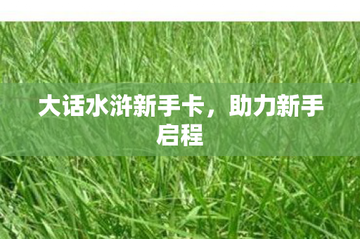 大话水浒新手卡，助力新手启程