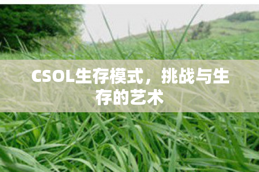 CSOL生存模式，挑战与生存的艺术