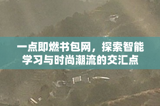 一点即燃书包网，探索智能学习与时尚潮流的交汇点