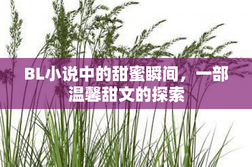 BL小说中的甜蜜瞬间，一部温馨甜文的探索