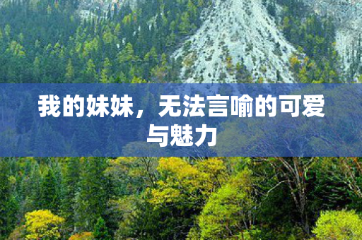 我的妹妹，无法言喻的可爱与魅力