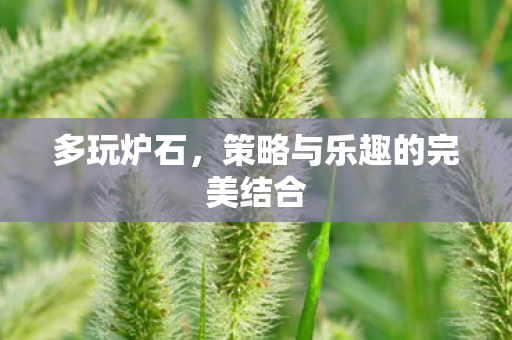 多玩炉石，策略与乐趣的完美结合