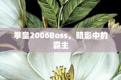 拳皇2006Boss，暗影中的霸主