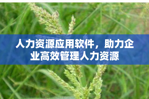 人力资源应用软件，助力企业高效管理人力资源
