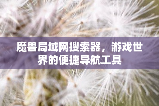 魔兽局域网搜索器，游戏世界的便捷导航工具