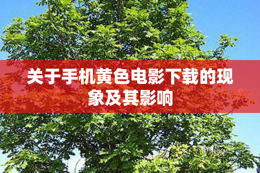 关于手机黄色电影下载的现象及其影响