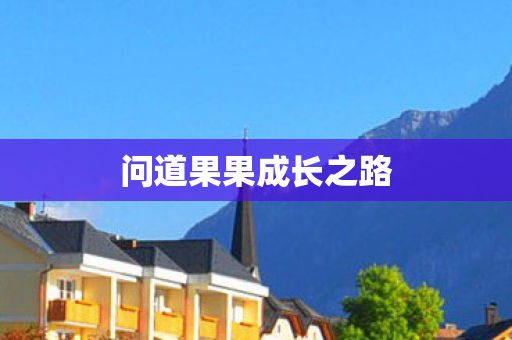 问道果果成长之路