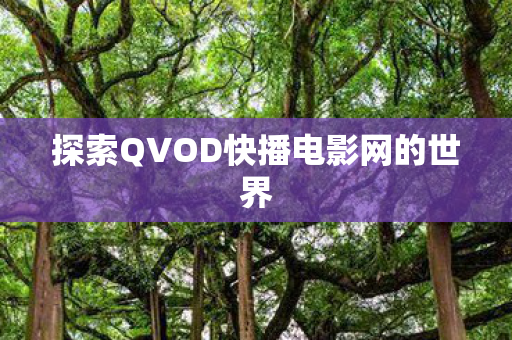 探索QVOD快播电影网的世界