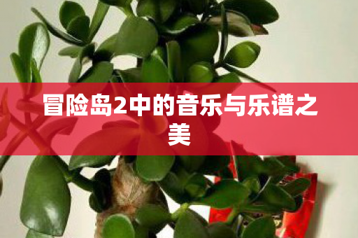 冒险岛2中的音乐与乐谱之美