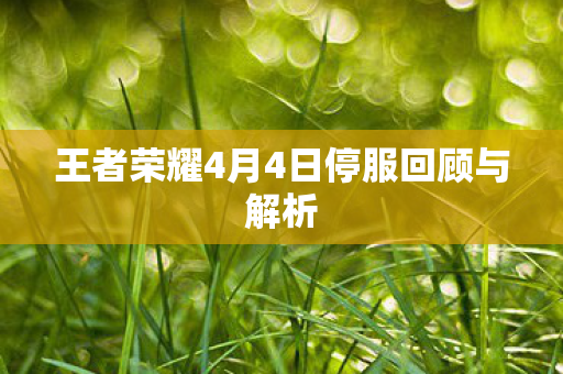 王者荣耀4月4日停服回顾与解析