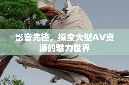 影音先锋，探索大型AV资源的魅力世界