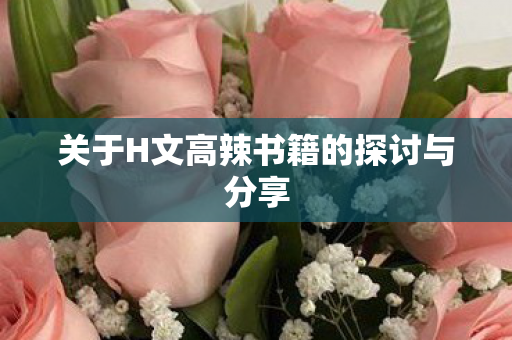 关于H文高辣书籍的探讨与分享