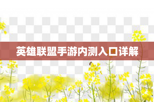 英雄联盟手游内测入口详解