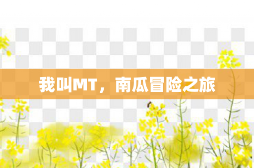 我叫MT，南瓜冒险之旅