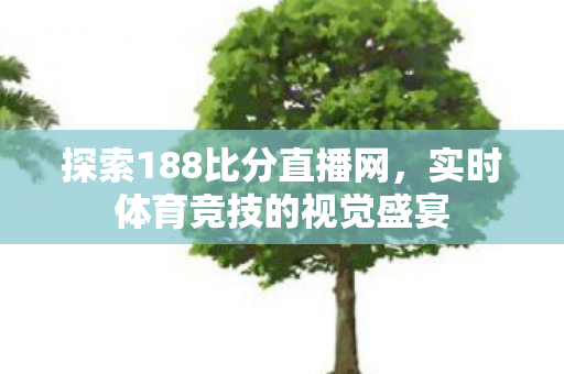 探索188比分直播网，实时体育竞技的视觉盛宴