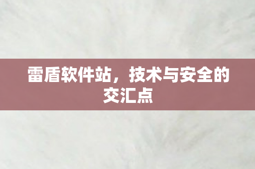 雷盾软件站，技术与安全的交汇点