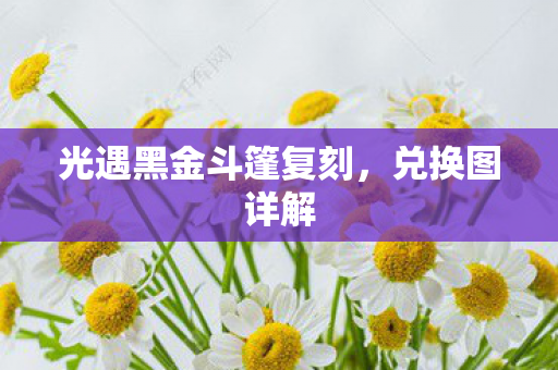 光遇黑金斗篷复刻，兑换图详解