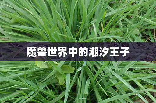 魔兽世界中的潮汐王子