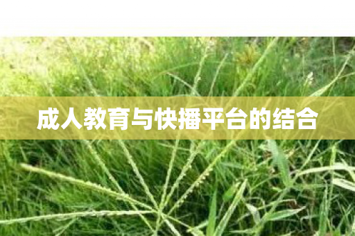 成人教育与快播平台的结合
