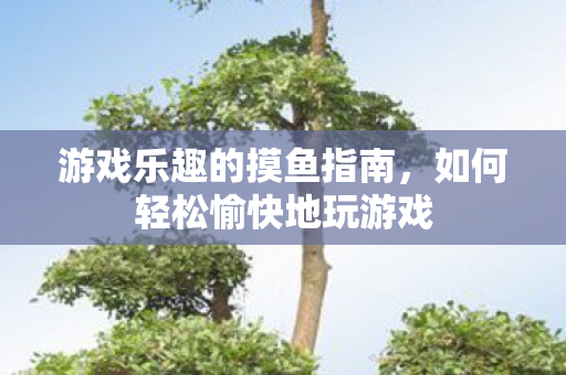 游戏乐趣的摸鱼指南，如何轻松愉快地玩游戏