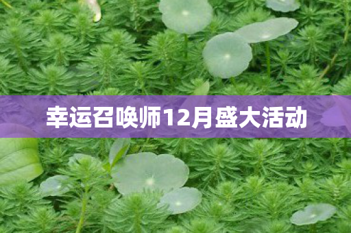 幸运召唤师12月盛大活动