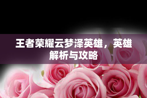 王者荣耀云梦泽英雄,英雄解析与攻略 王者荣耀云梦泽英雄,英雄解析与攻略