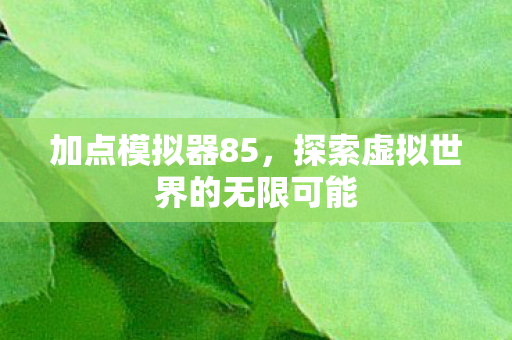 加点模拟器85，探索虚拟世界的无限可能