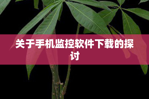 关于手机监控软件下载的探讨