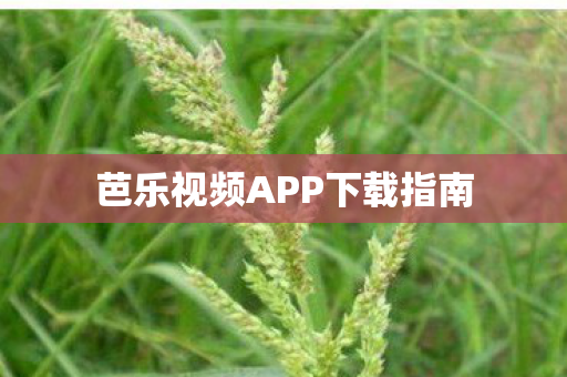 芭乐视频APP下载指南