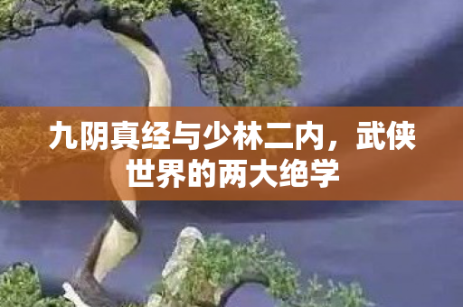 九阴真经与少林二内，武侠世界的两大绝学