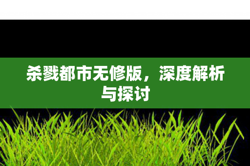 杀戮都市无修版，深度解析与探讨