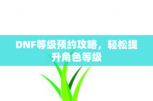 DNF等级预约攻略，轻松提升角色等级