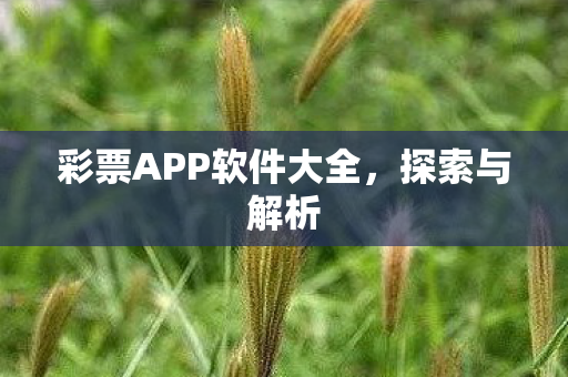 彩票APP软件大全，探索与解析