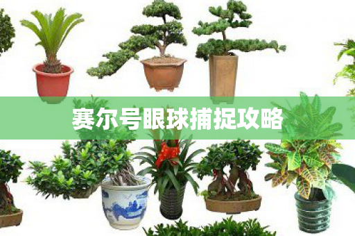 赛尔号眼球捕捉攻略