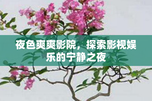 夜色爽爽影院，探索影视娱乐的宁静之夜