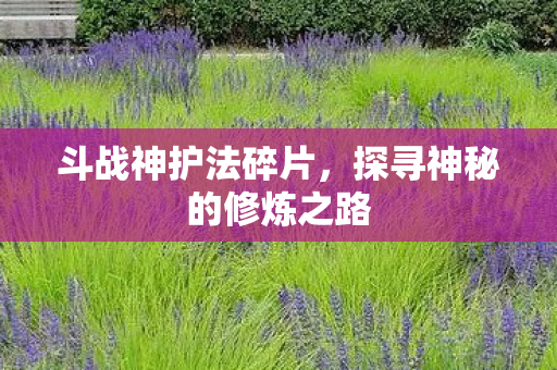 斗战神护法碎片，探寻神秘的修炼之路