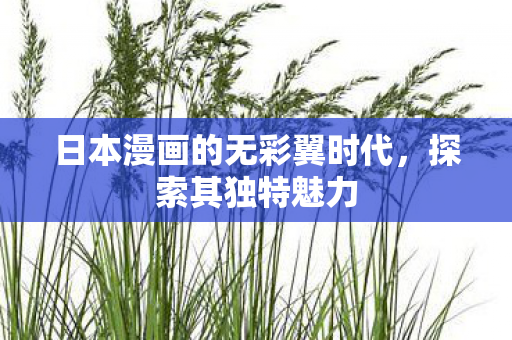日本漫画的无彩翼时代，探索其独特魅力
