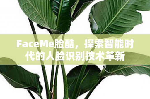 FaceMe脸酷，探索智能时代的人脸识别技术革新