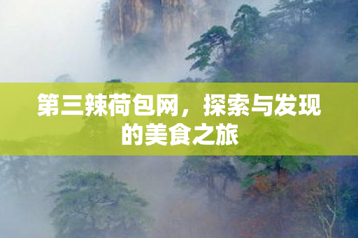 第三辣荷包网，探索与发现的美食之旅